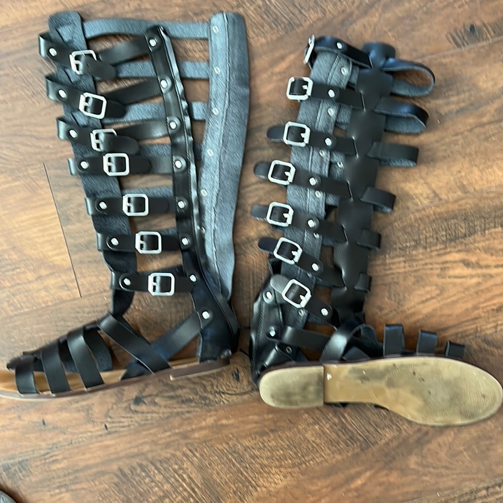 Gladiator